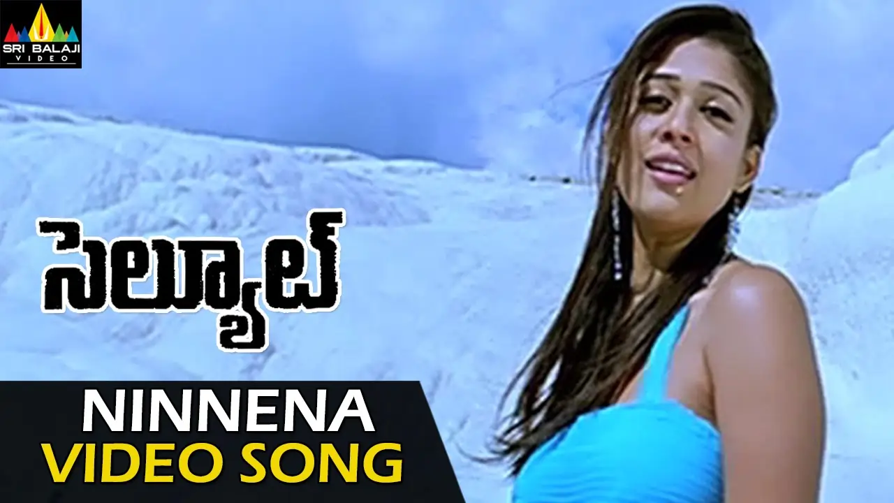ninnena nenu chustundhi song lyrics - salute