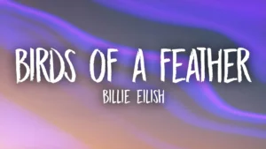 Birds of A Feather Song Lyrics - Billie Eilish